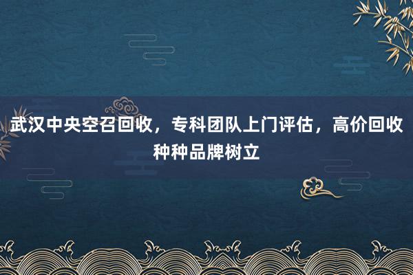 武汉中央空召回收，专科团队上门评估，高价回收种种品牌树立