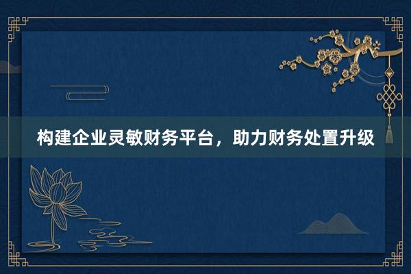 构建企业灵敏财务平台，助力财务处置升级
