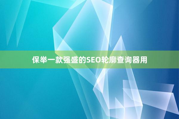 保举一款强盛的SEO轮廓查询器用