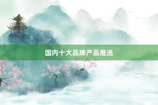 国内十大品牌产品推选