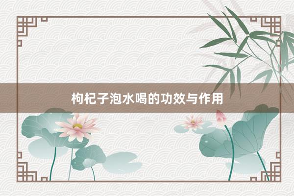 枸杞子泡水喝的功效与作用