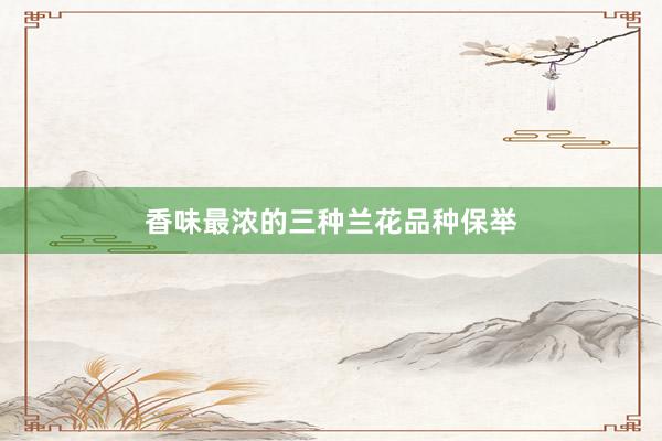 香味最浓的三种兰花品种保举
