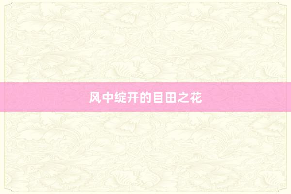 风中绽开的目田之花