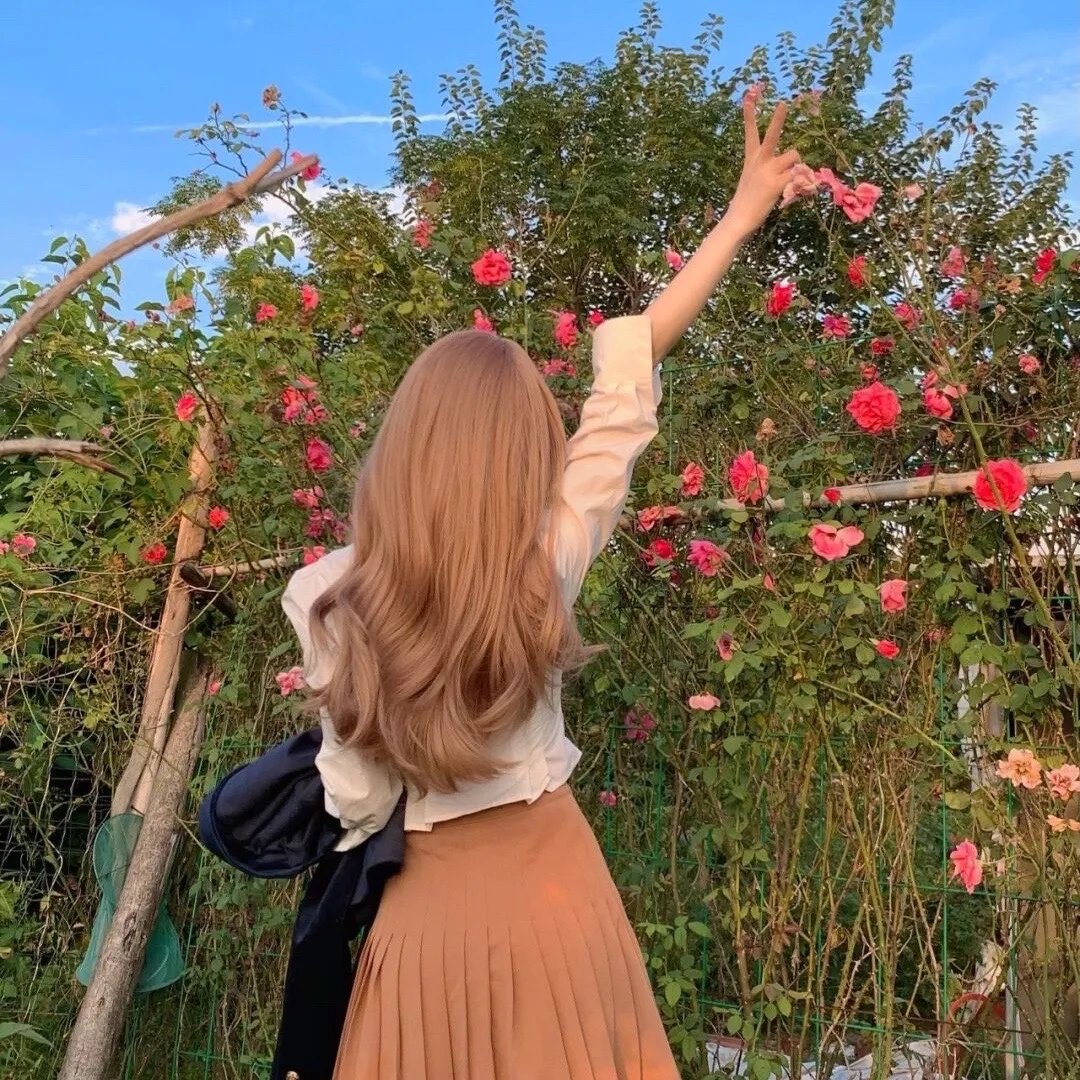 茶啊二中第三季